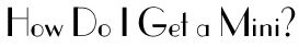 How do I get a Mini?