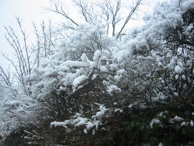 skansen scene3.jpg