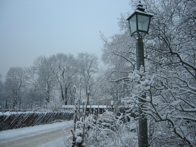 skansen scene5.jpg