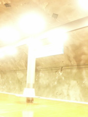 lights4.jpg